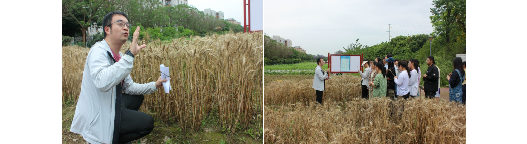 1715822557615390.png image.png